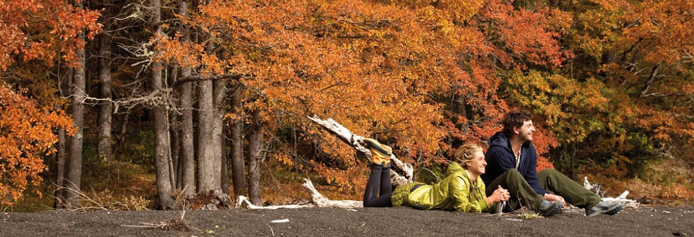 El Parque Nacional Conguillío es uno de los Destinos Turísticos en Chile