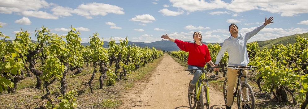 Paseos y excursiones en bicicleta por las rutas de vino en Chile en medio de verdes viñedos