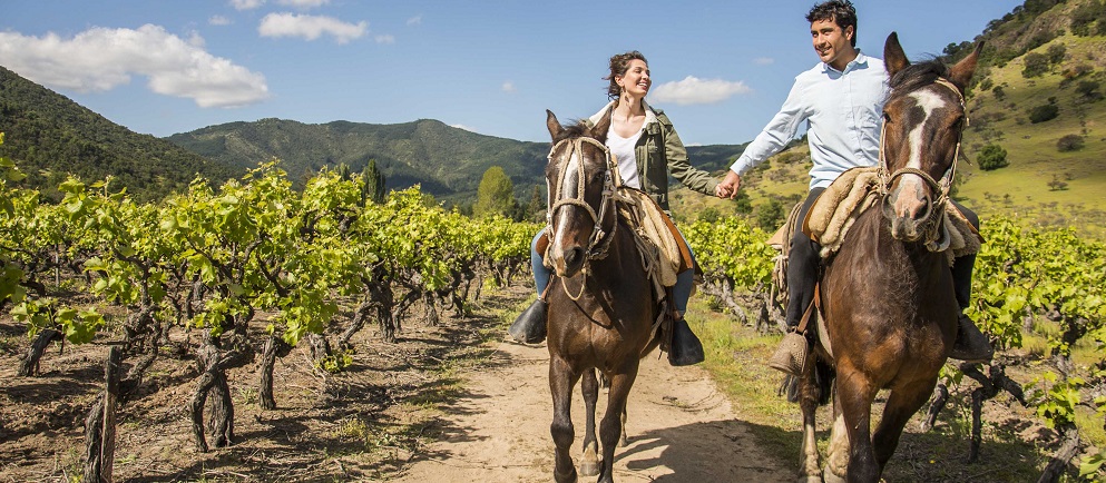 Cabalgatas por los valles vitivinícolas y por las Rutas de vino en Chile