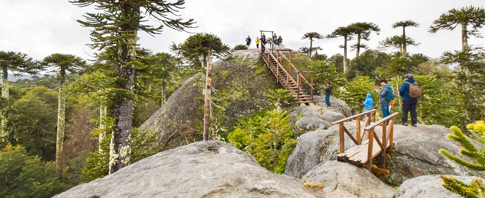 Mirador en un trekking en el Parque Nacional Nahuelbuta