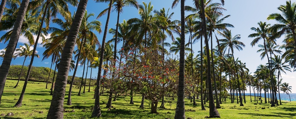 Visitar la playa Anakena en un viaje a Rapa Nui