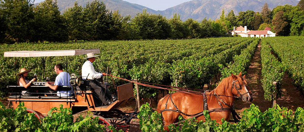 Imagen de una pareja recorriendo arriba de una carreta las verdes plantaciones de viñedos en el Valle de Colchagua