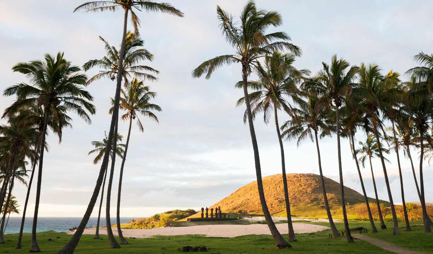 Imagen panorámica de las playas de Rapa Nui donde se aprecian palmeras y Moai