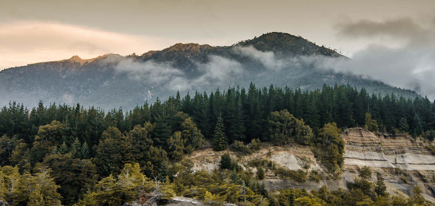 Imagen de los bosques cubiertos por neblina, enmarcado por unas imponeentes montañas, en el Parque Nacional Conguillio