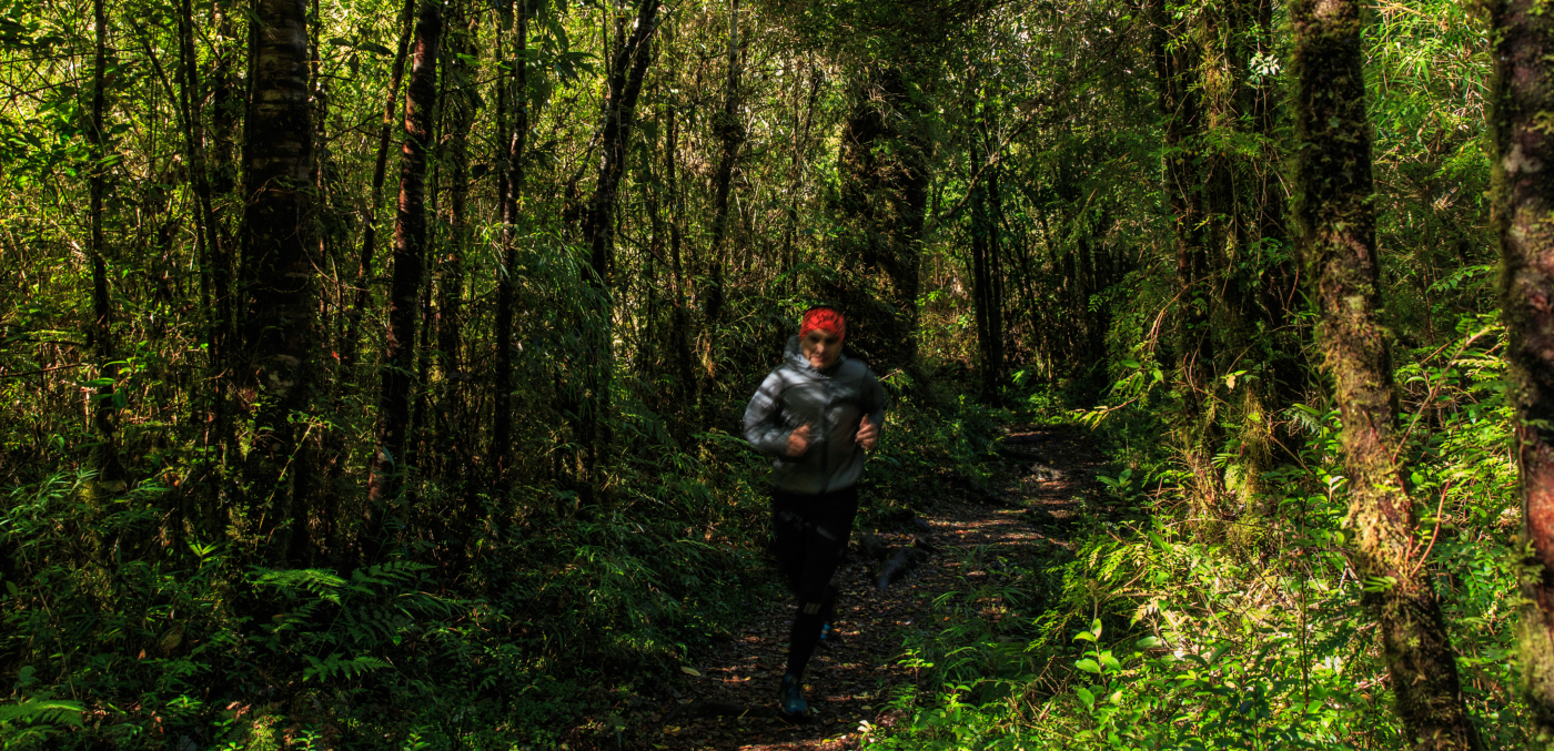 Imagen de hombre realizando running en medio de bosques del sur de Chile