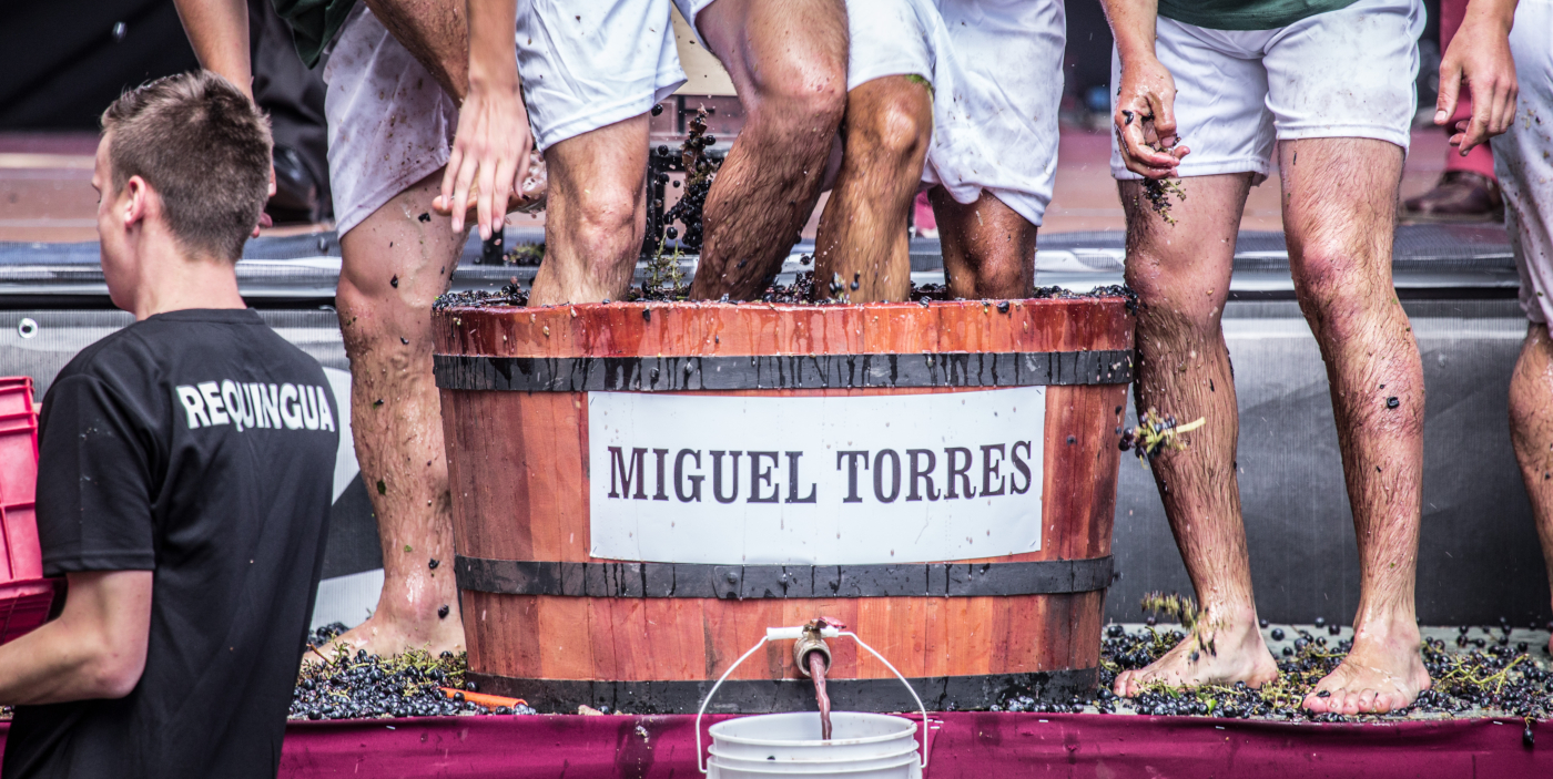 Imagen de una barrica de madera con un equipo de pisadores profesionales aplastando uvas con sus pies para obtener el jugo que luego fermentará para volverse vino