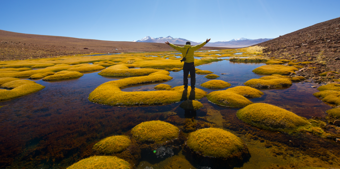 Imagen de un turista disfrutando de las lagunas naturales de los Ojos del Salado