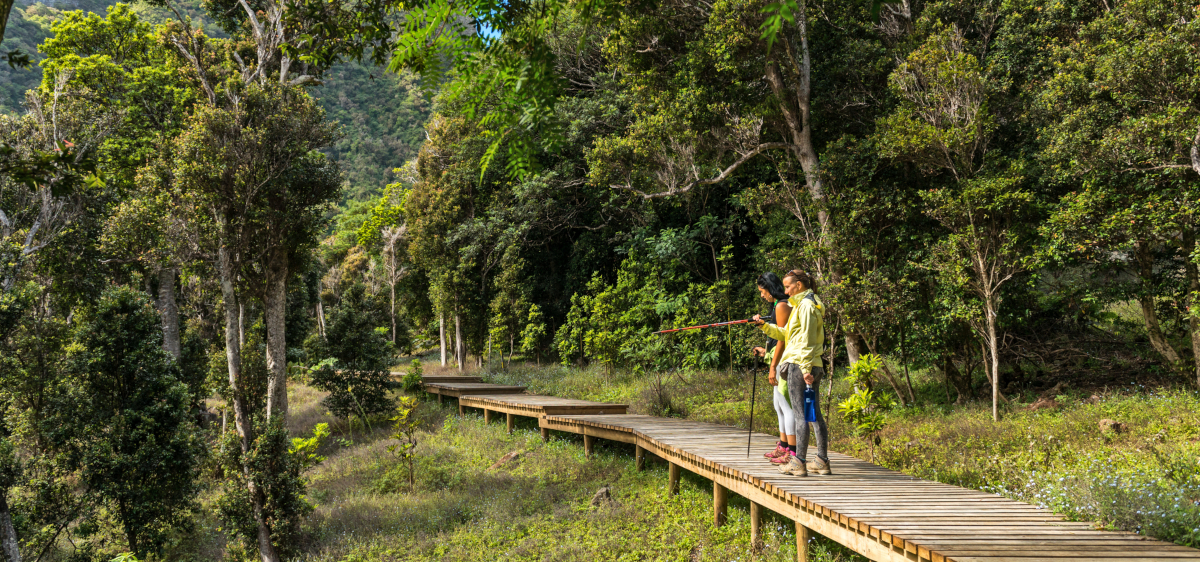 Imagen de una pareja de turistas realizando trekking en uno de los Parques Nacionales de Chile