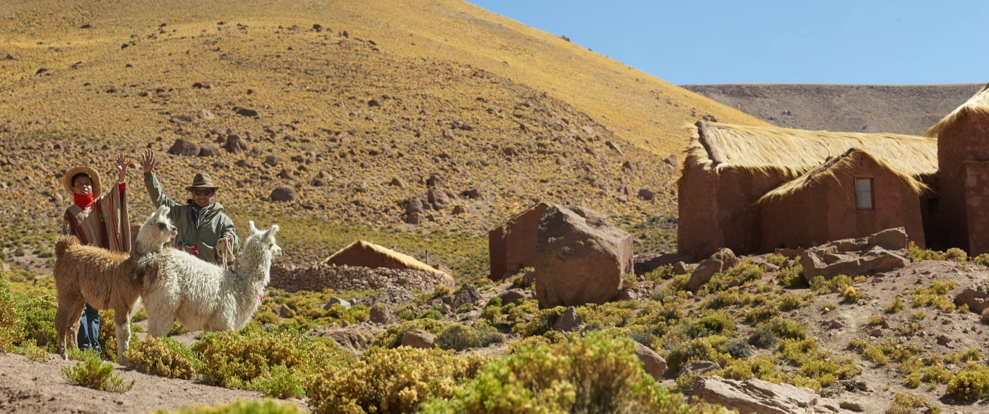 Imagen del pueblo de Machuca donde se ve dos hombres cuidando a dos hermosas llamas en medio del Desierto de Atacama