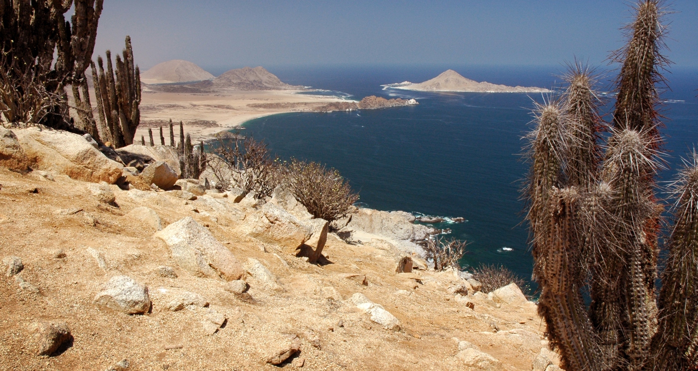 Imagen del Parque Nacional Pan de Azucar donde se ven los roquerios y vegetación le lugar