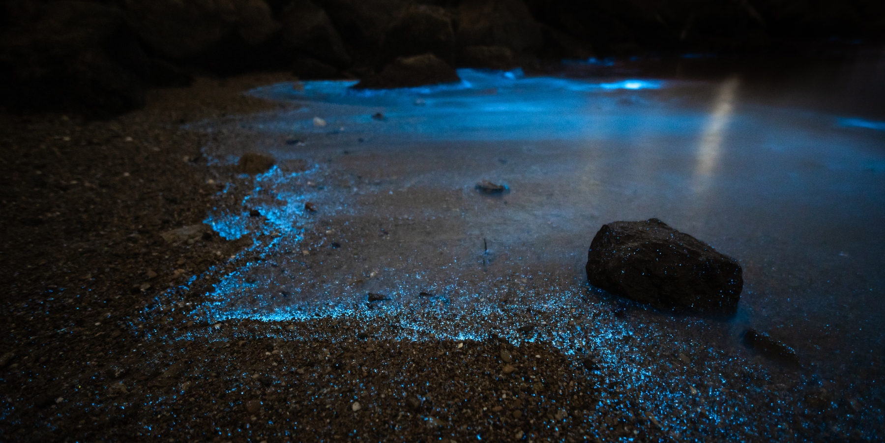 imagen nocturna de la orilla del mar con el efecto de la bioluminiscencia