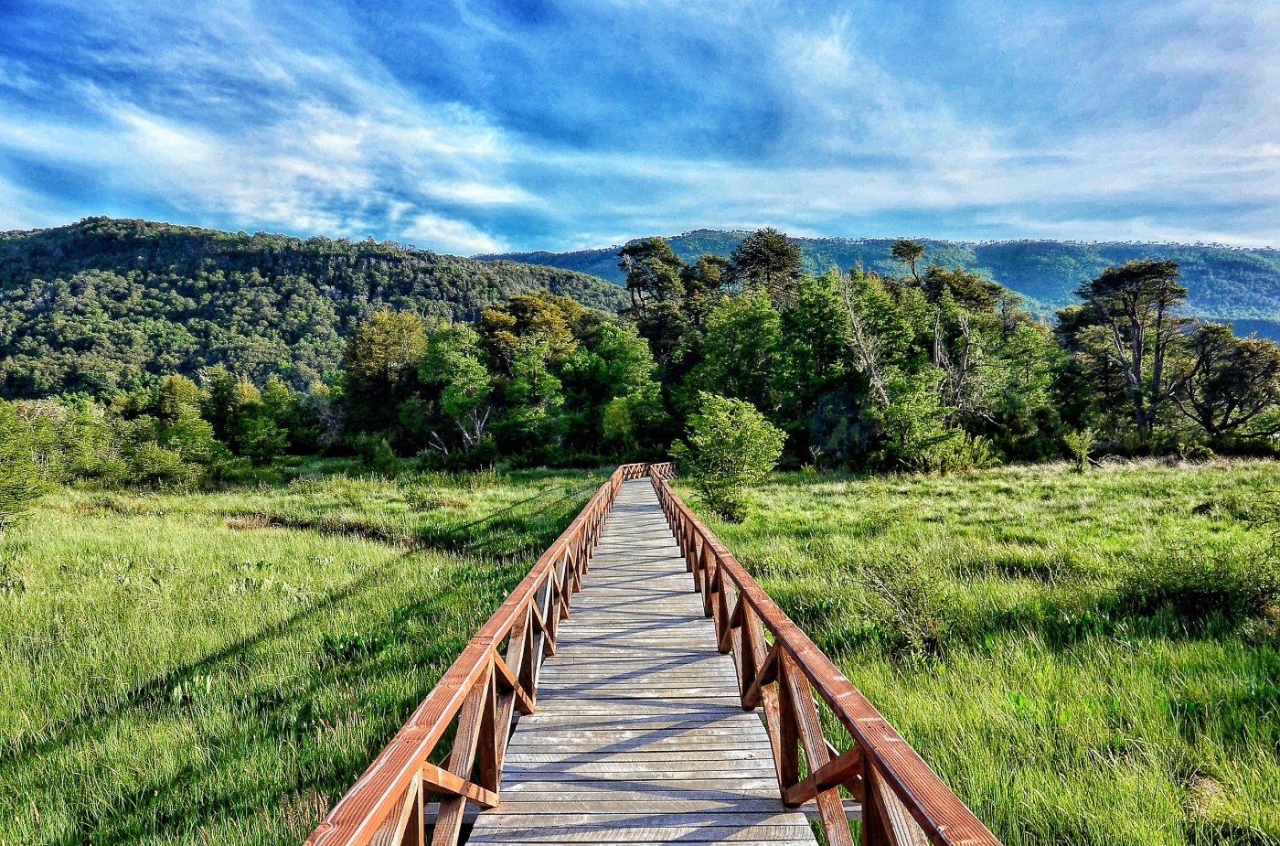 chile parque national park nacional travel parks con