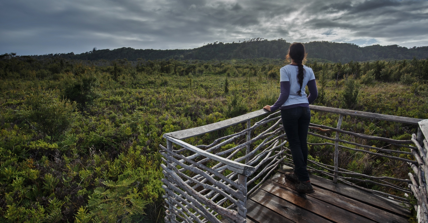 Imagen de uno de los miradores del Parque Nacional Chiloé donde se ve la naturaleza del lugar