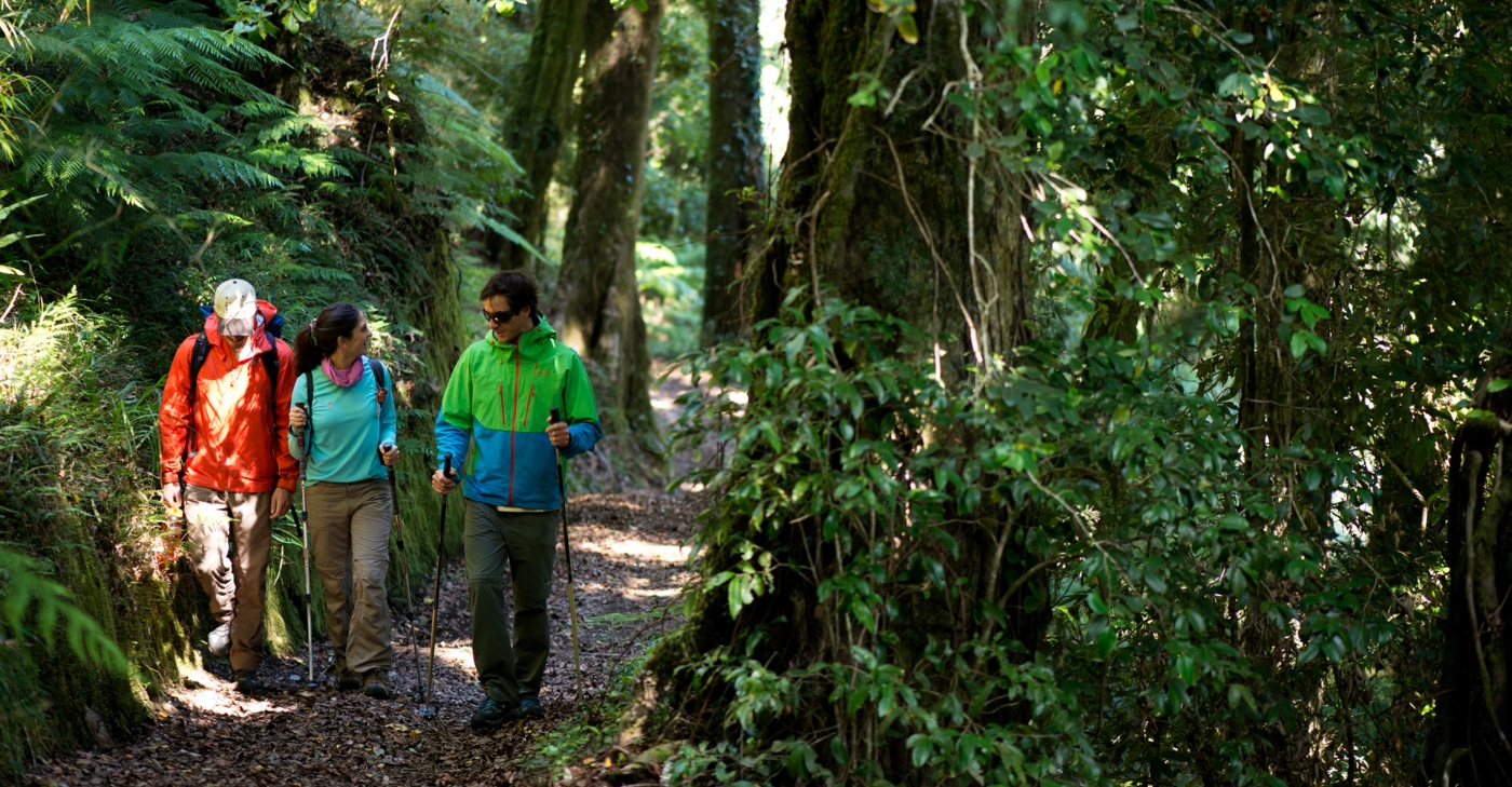 Imagen de un grupo de turistas recorriendo el Parque Futangue