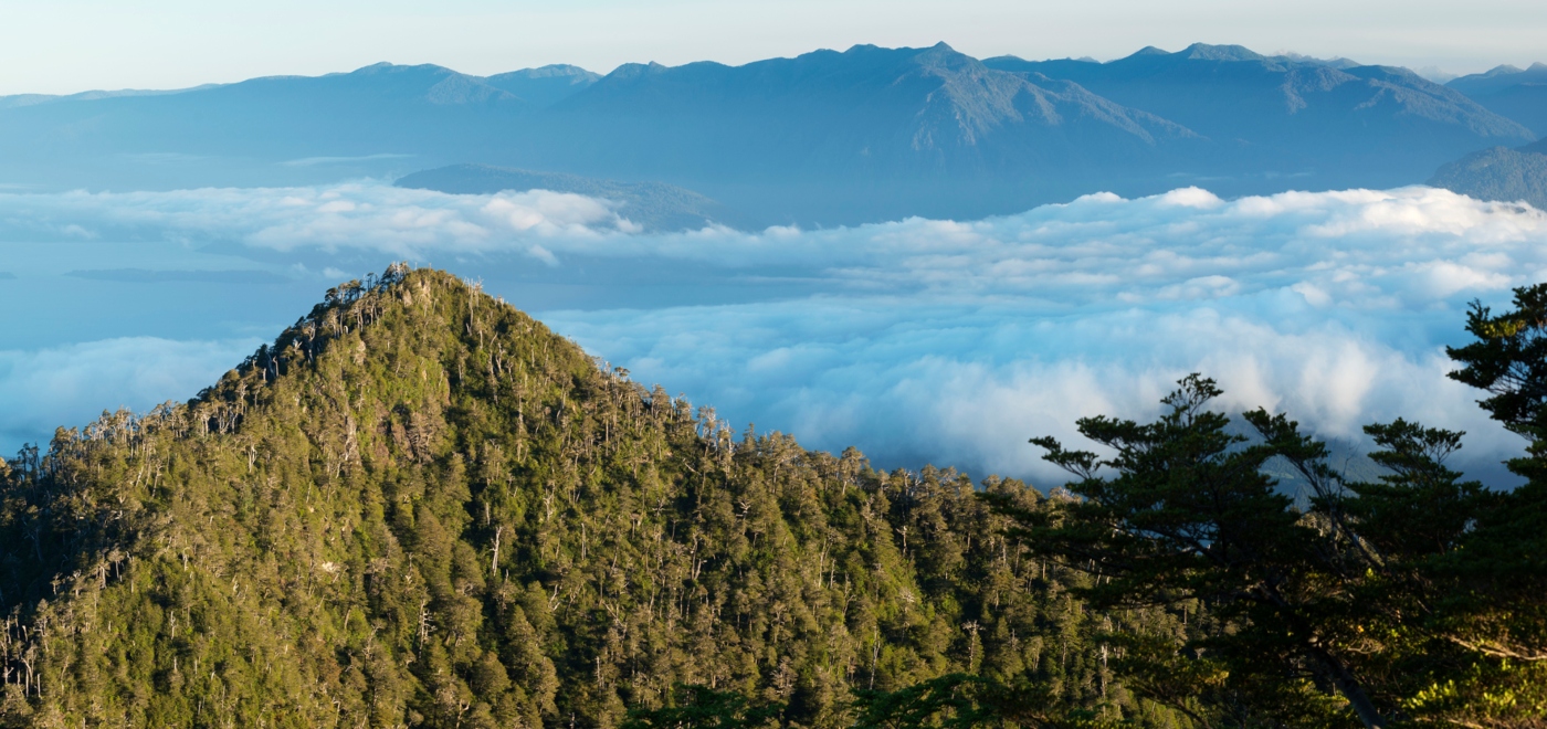 Imagen panorámica del Parque Futangue