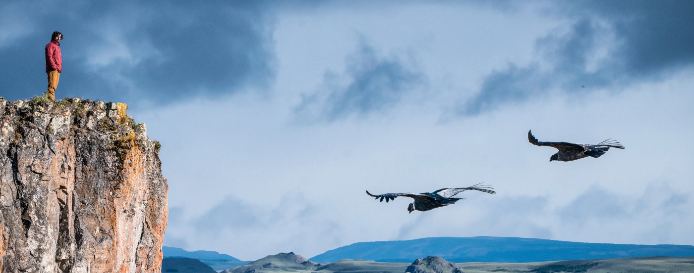 Imagen de un turista disfrutando del vuelo de condores chilenos