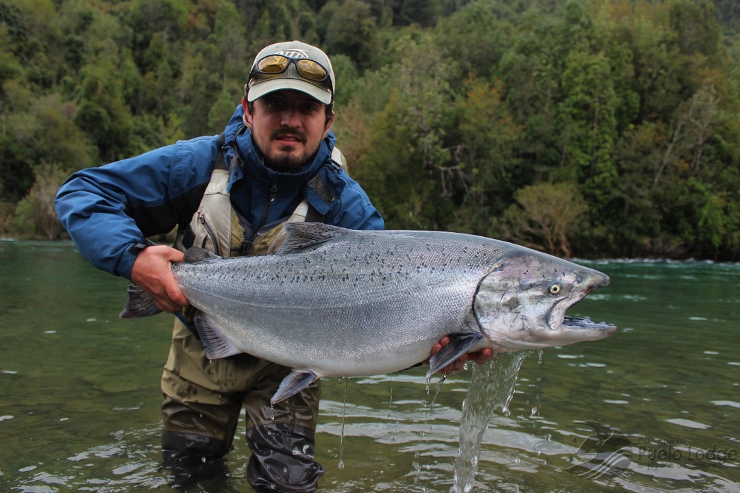 Cómo armar la línea para pescar truchas en Patagonia Norte 