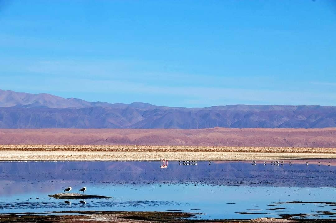 oasis en atacama