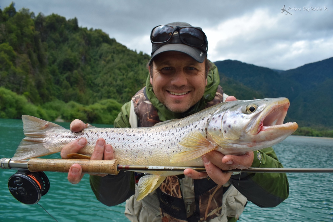 UNBELIEVABLE Creek TROUT FISHING In Patagonia Chile! 