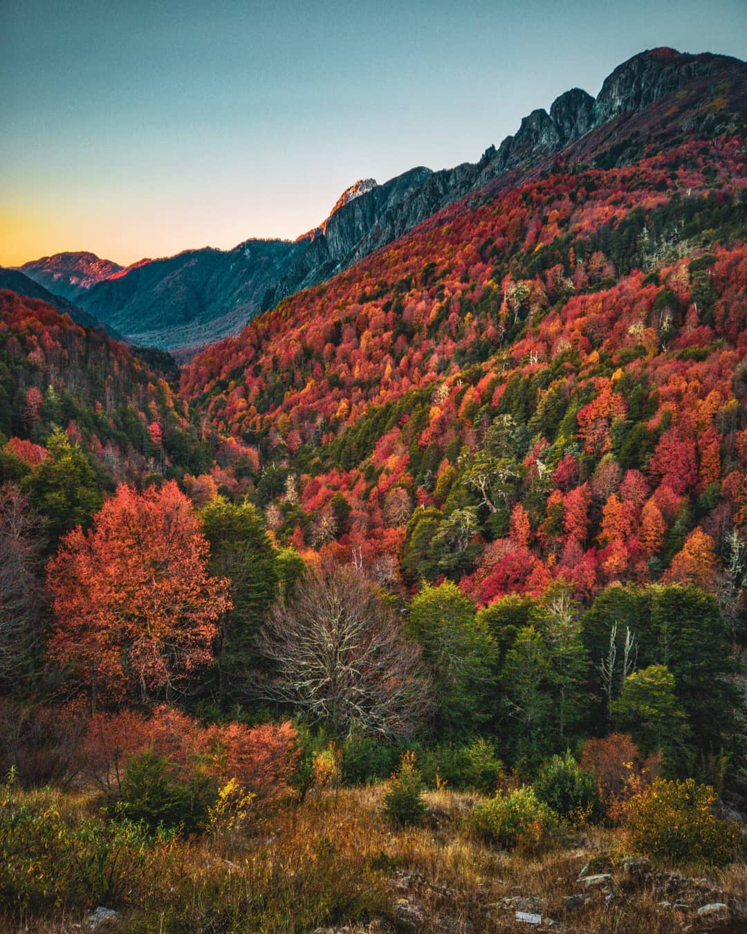 paisaje-otono-chile