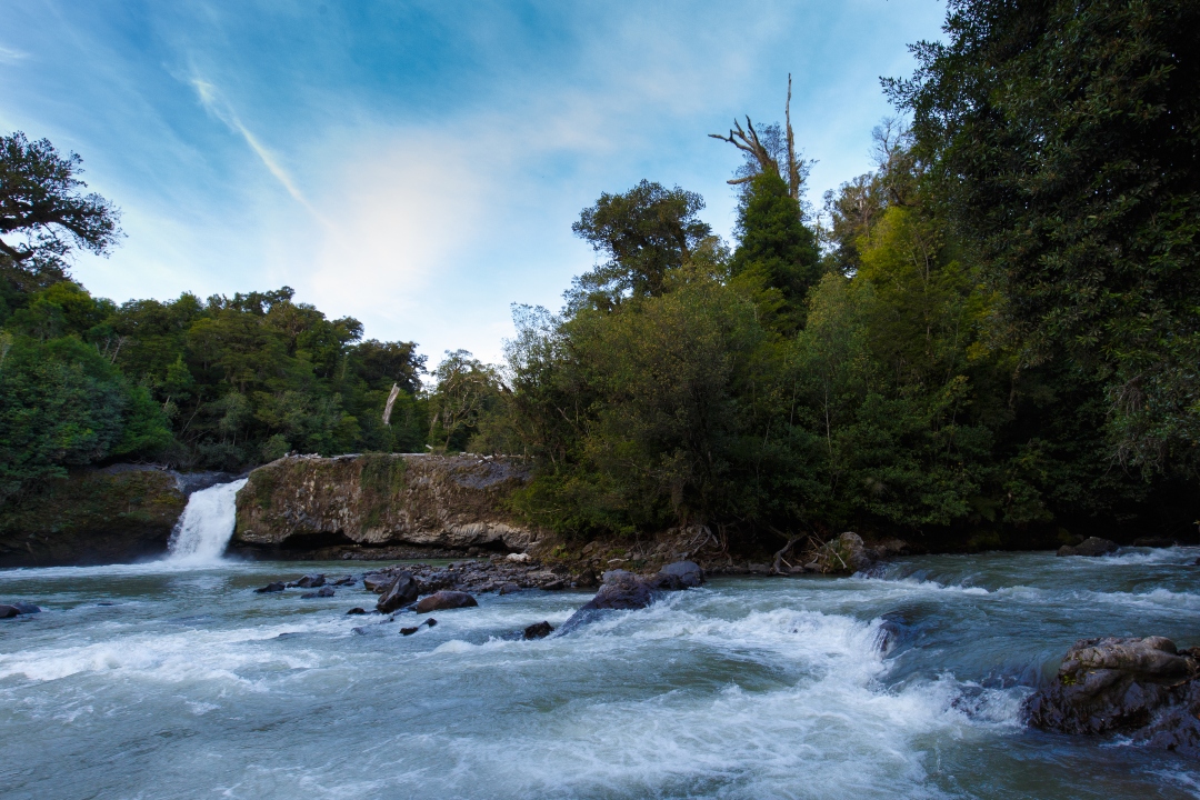 parque-nacional-puyehue