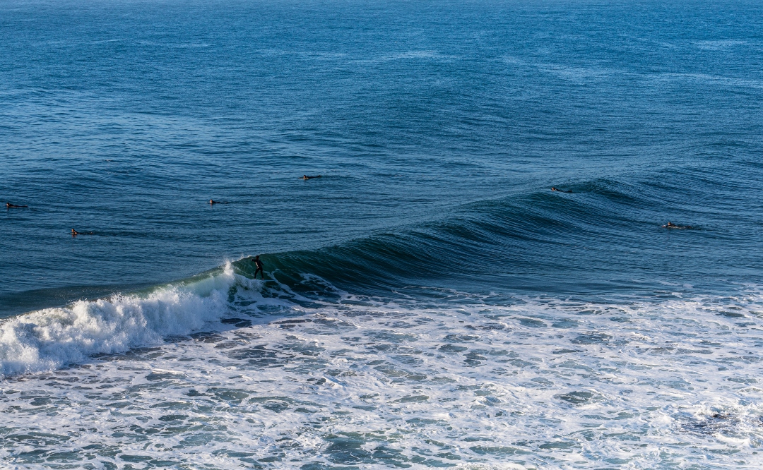 punta-de-lobos