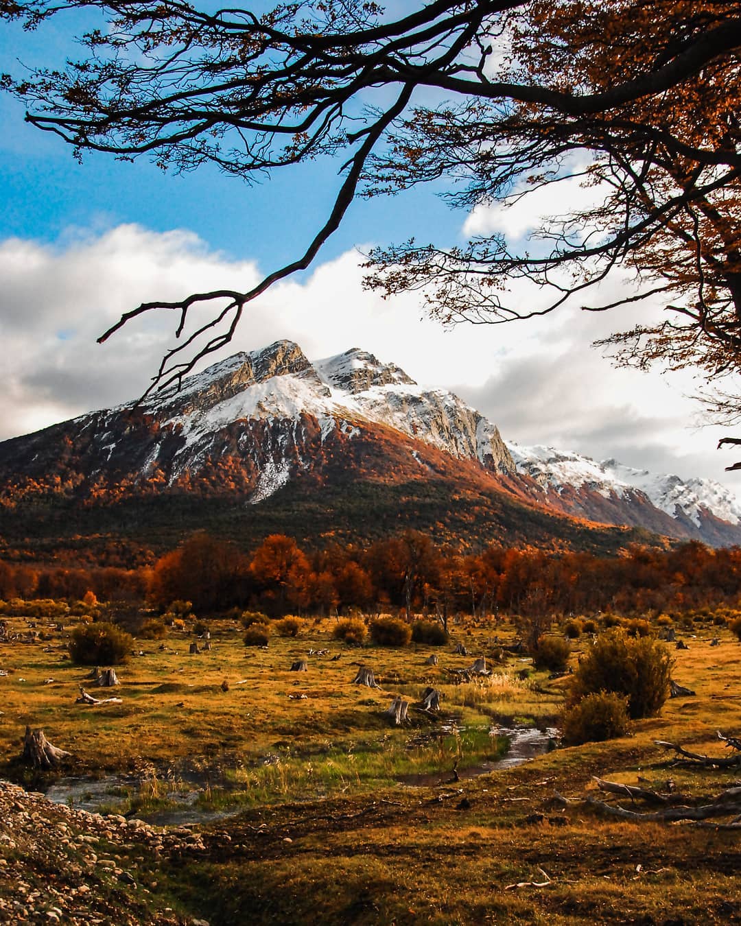 paisaje-otono-sur-chile