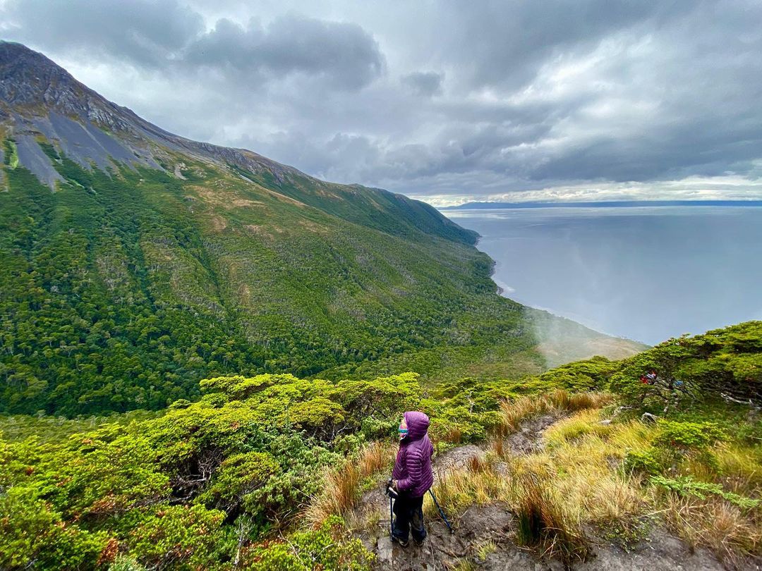 Mulher caminhando por bosques nativos da Rota Patrimonial Cabo Froward