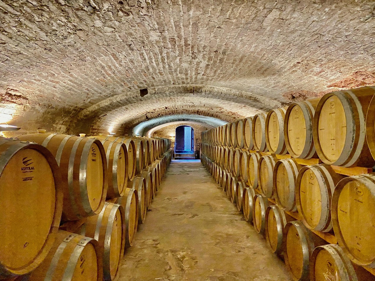 Wine cellar with barrels for storing and aging the Pisco.