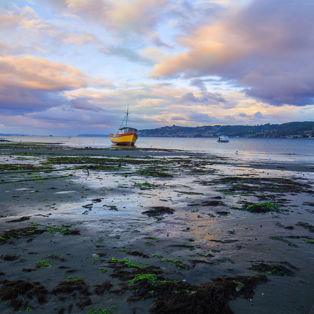 Coasts of the island of Chiloé