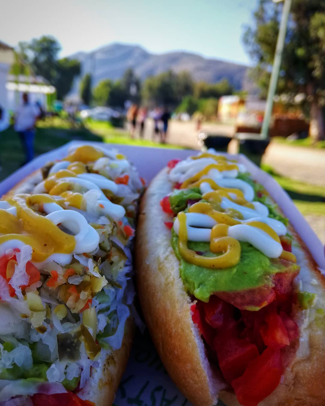 Dos completos diferentes servidos en un plato