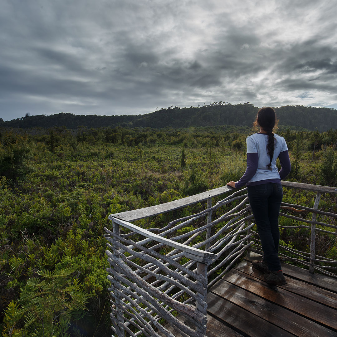 Mirador do Parque Nacional de Chiloé