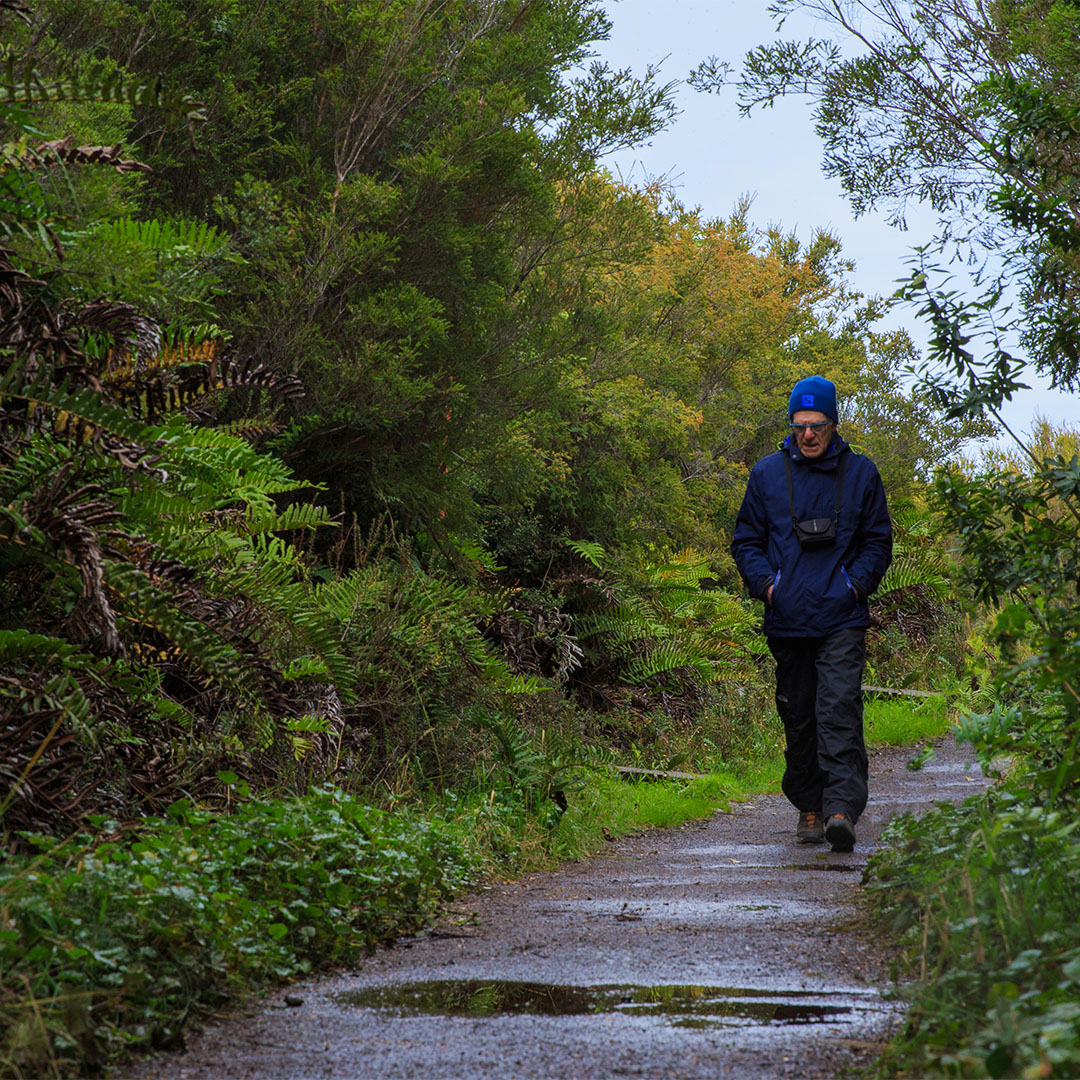 Chiloé National Park