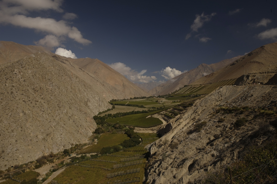 Elqui Valley, Coquimbo area