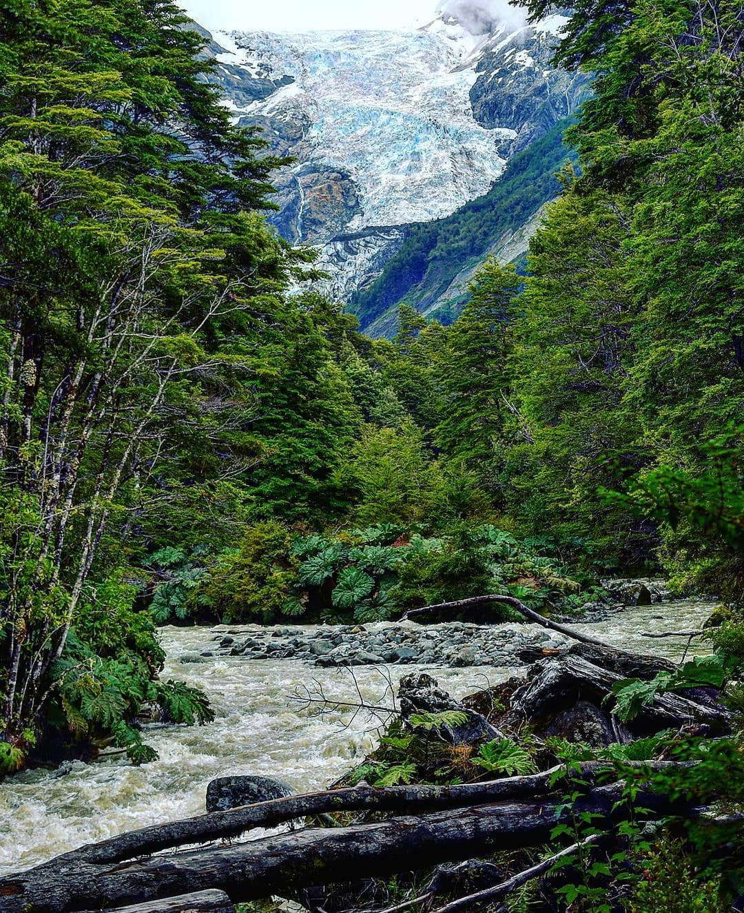 Sendero Ventisquero Yelcho en Parque Nacional Corcovado