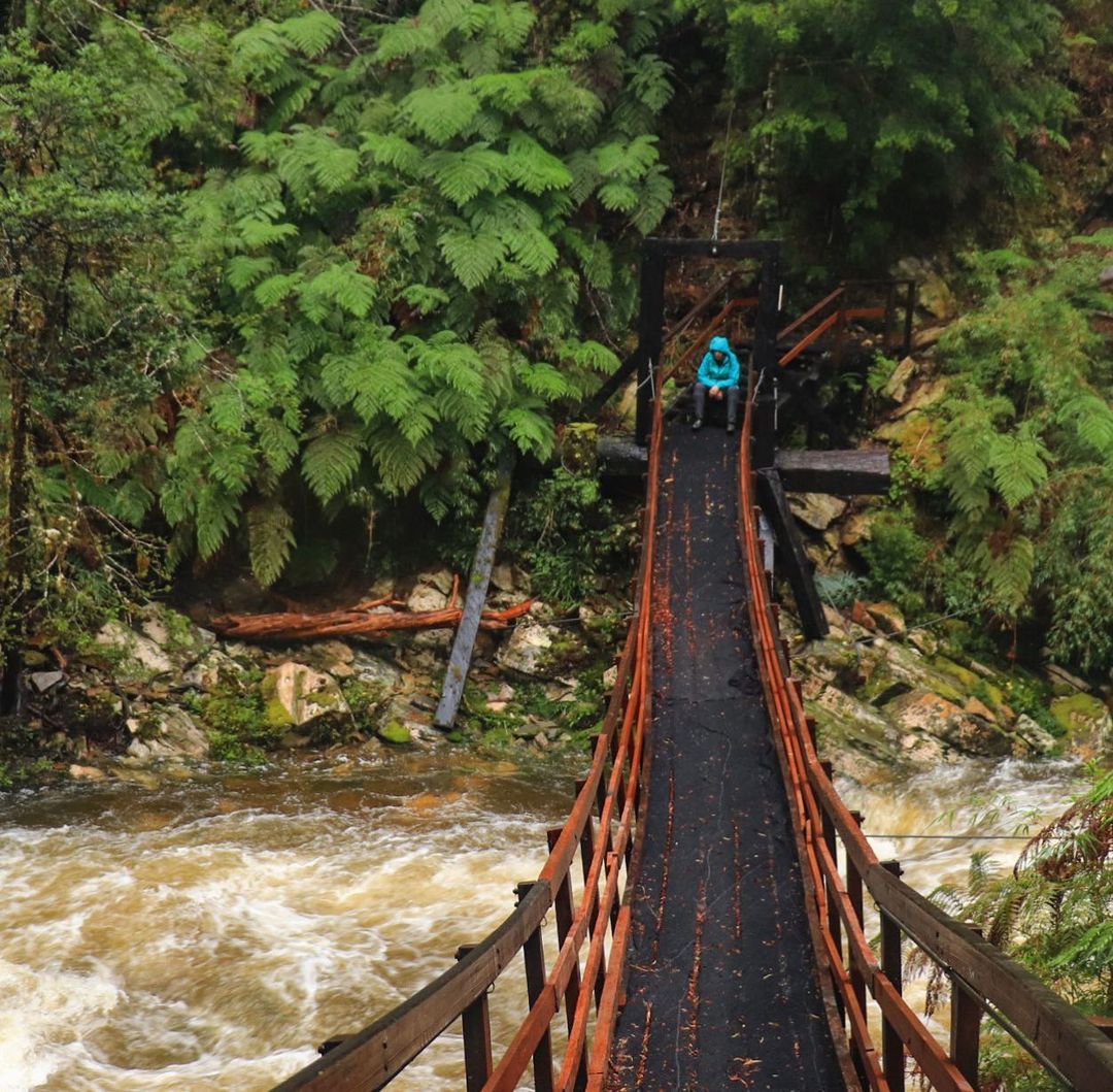 Tourist crossing a footbridge on the Alerce Milenario Trail