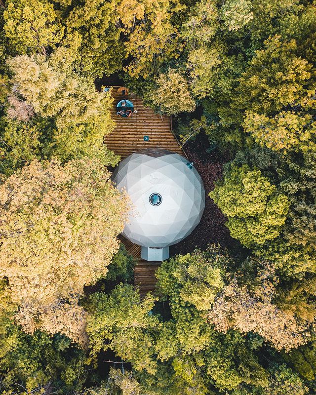 Dome in the middle of a forest