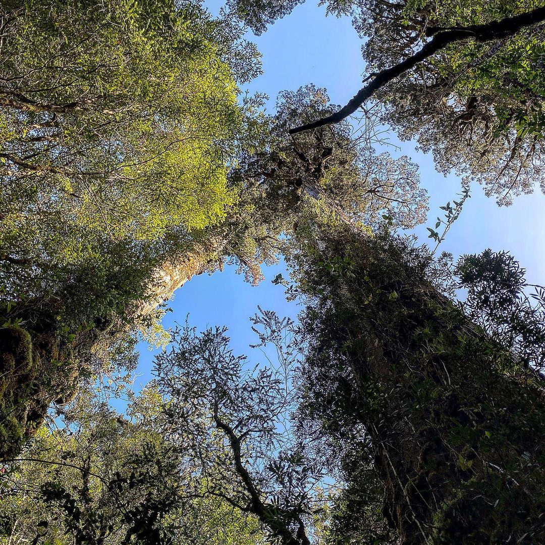 Paisagens naturais do trilho