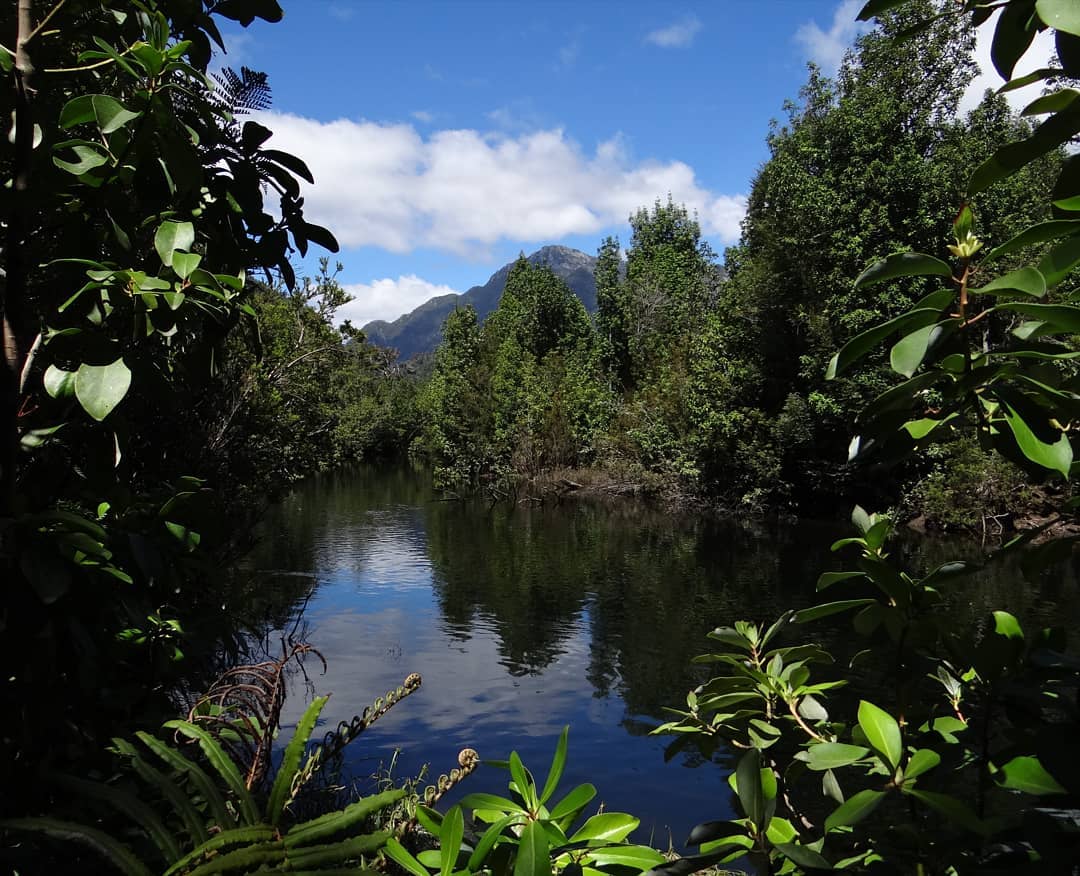 Lenca River, Alerce Andino National Park