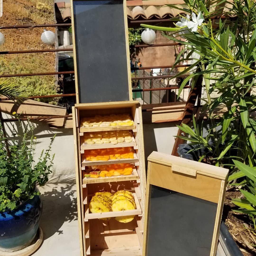 Solar dryer with fruit