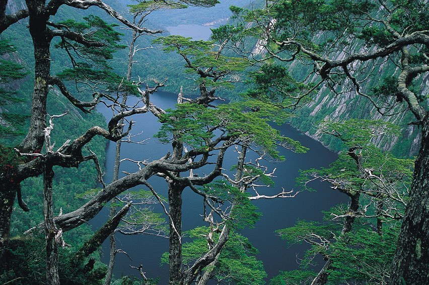 Parque Nacional Alerce Andino, Chile