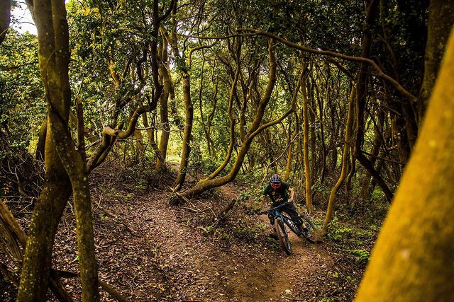 Mountain biking on Manquehue Hill