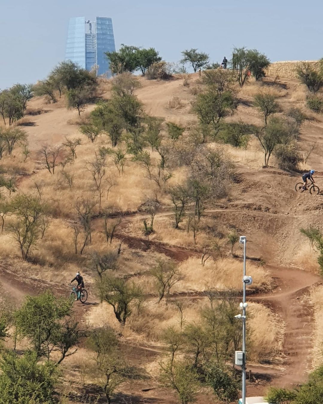 Moutainbiker abseits der Wege im Stadtpark