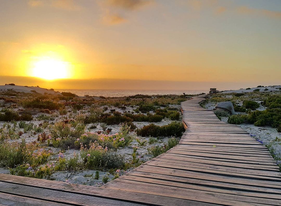 Playa Blanca trail, Llanos de Challe National Park, northern Chile