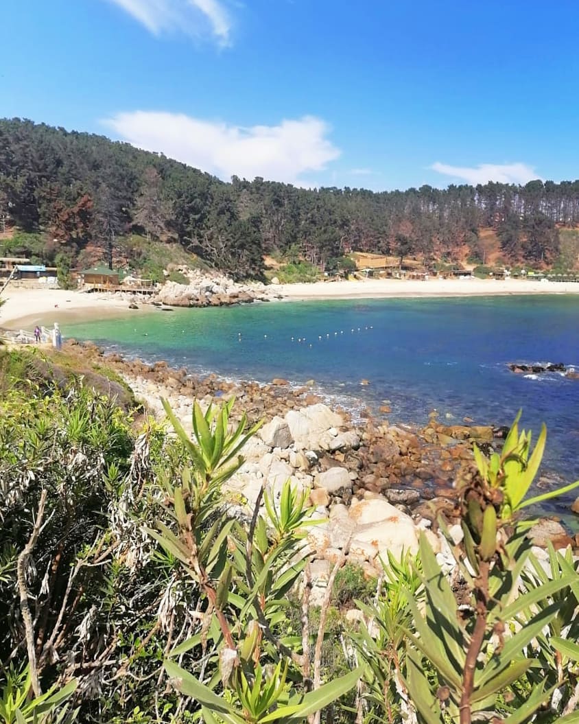 Playa El Canelo, Algarrobo, zona central de Chile