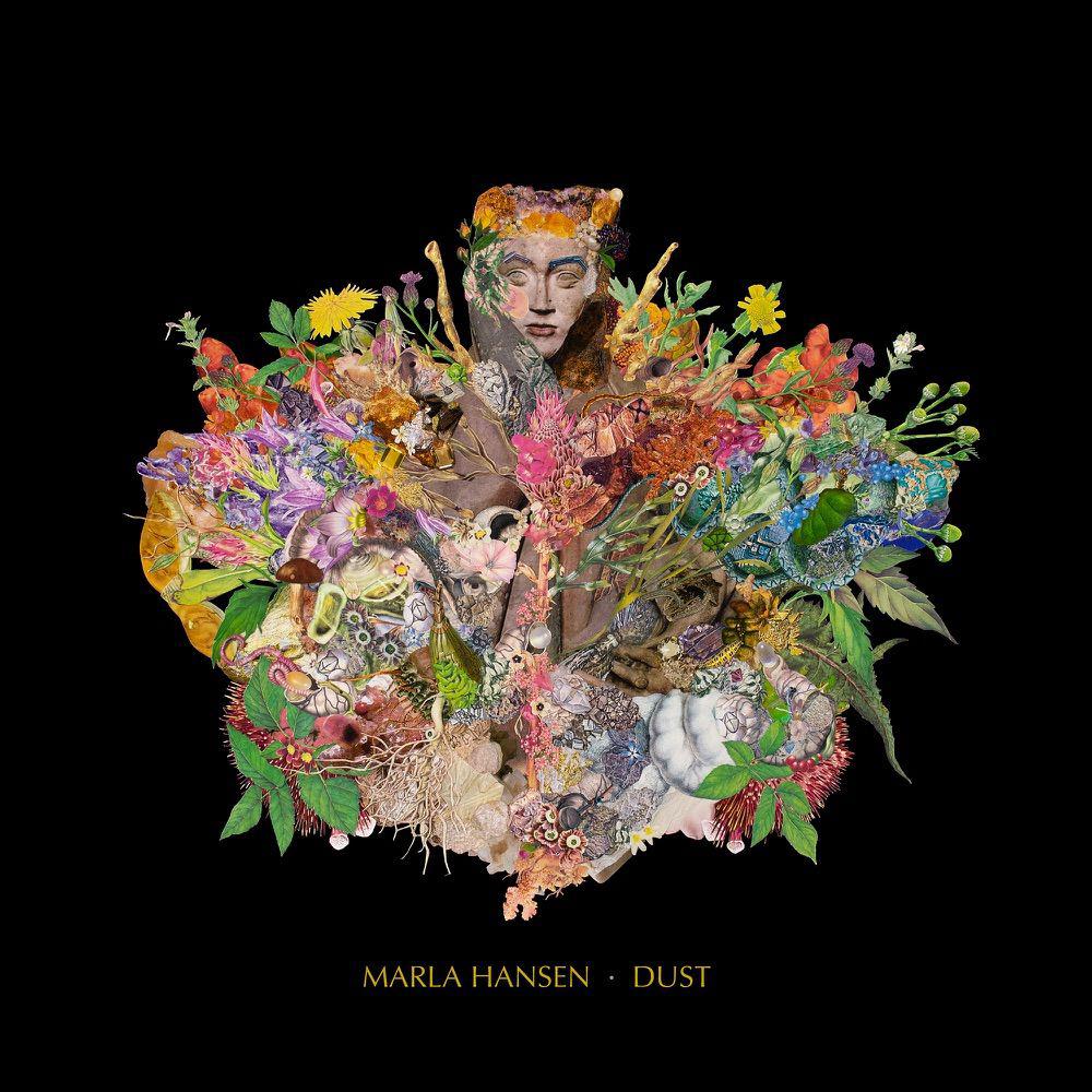 image for Gorgeous Folk Pop from Germany for Fans of Alexi Murdoch. - Marla Hansen: One Steps Up