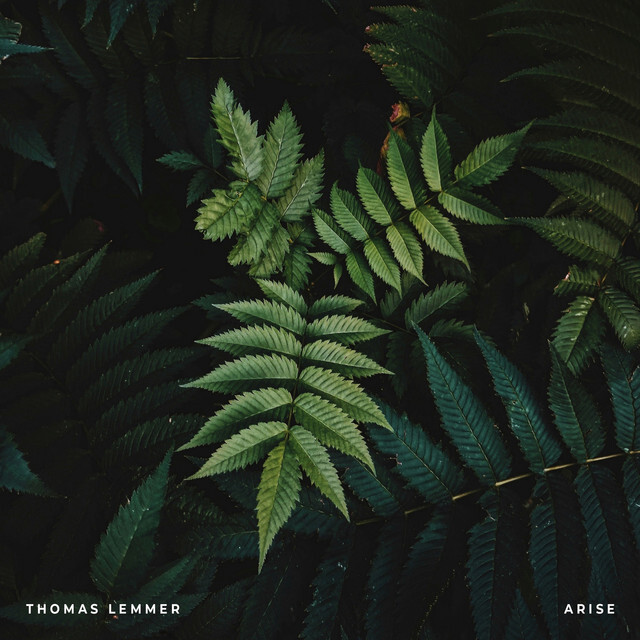 image for Prominent German Composer Offers Preview from Upcoming Release. - Listen to Thomas Lemmer: Arise