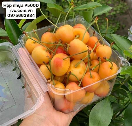Địa chỉ uy tín cung cấp hộp nhựa trái cây P500D tại Tân Bình  Hop_nhua_dung_cherry_20_2210181452