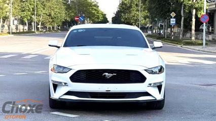 Mua bán Ô tô FORD Mustang cũ mới uy tín giá tốt