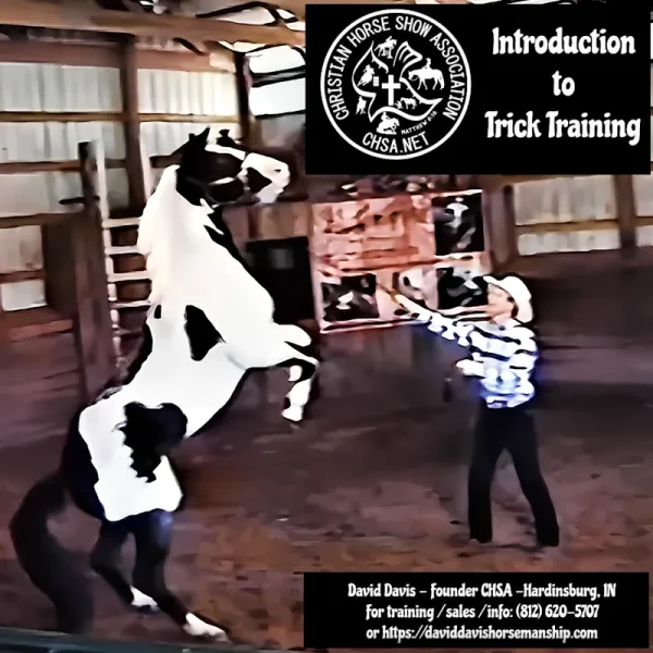 Intro to Trick Horse Training – CHSA.NET – Christian Horse Show Association
